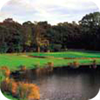 Golf_day