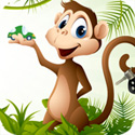 Monkey Insurance